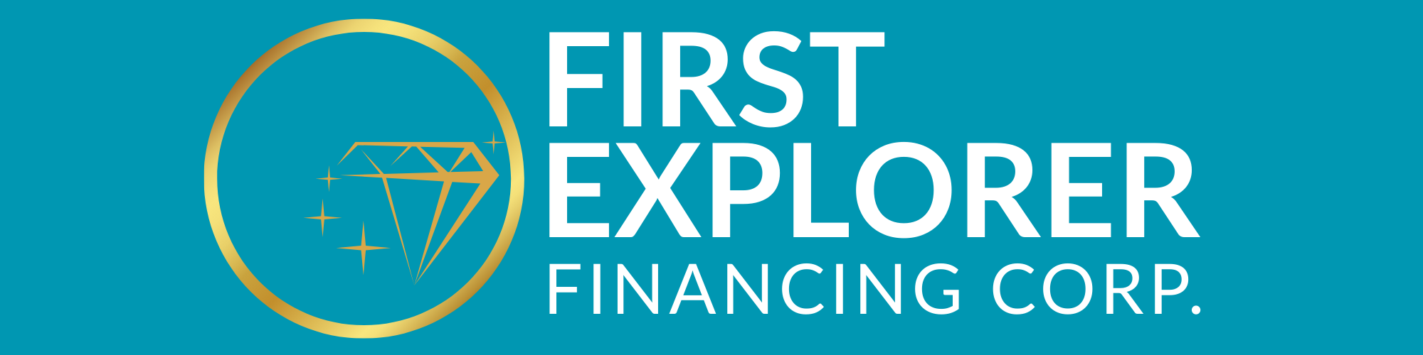 FEFC Logo
